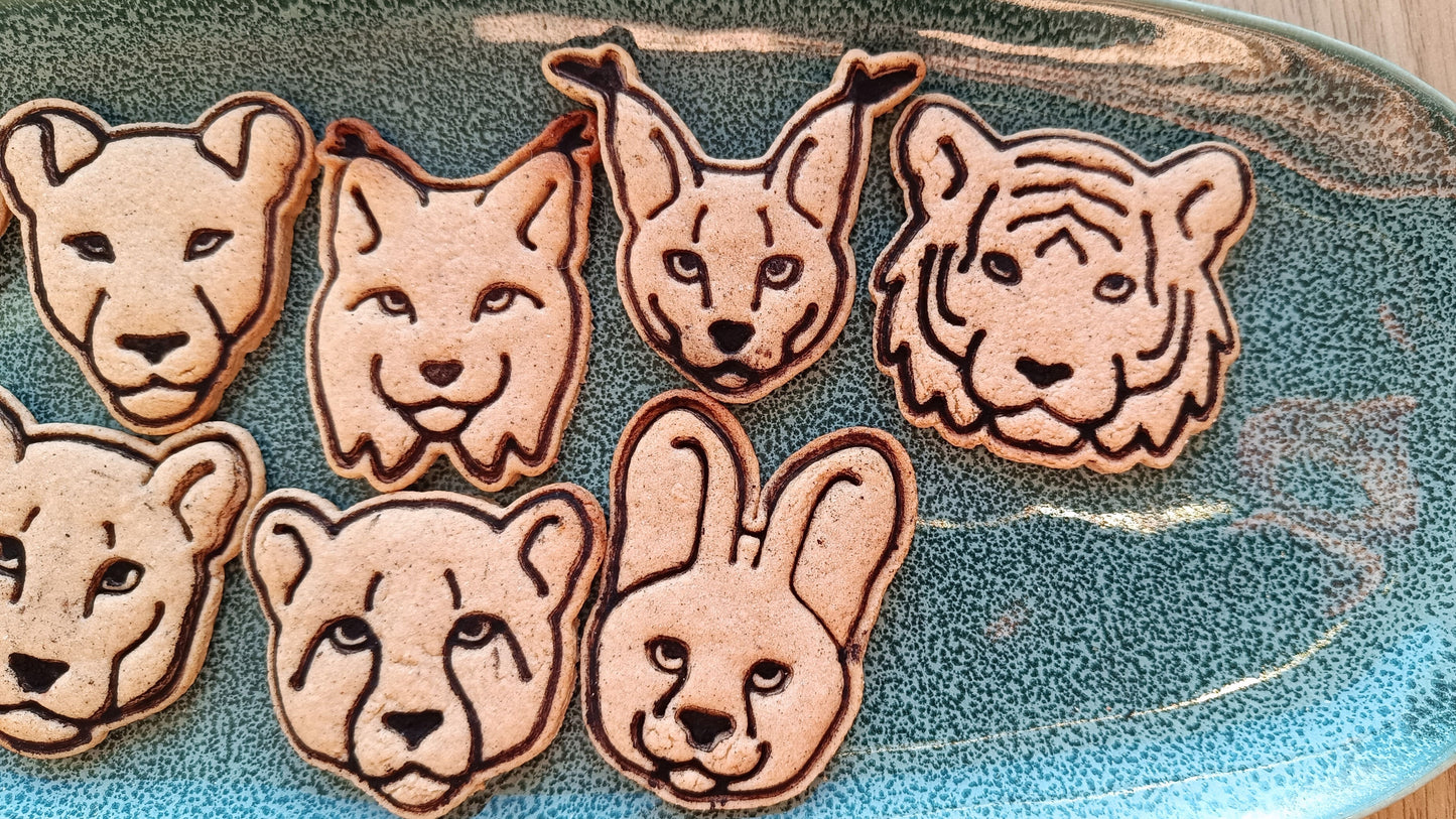 Baby lion - cookie cutter set