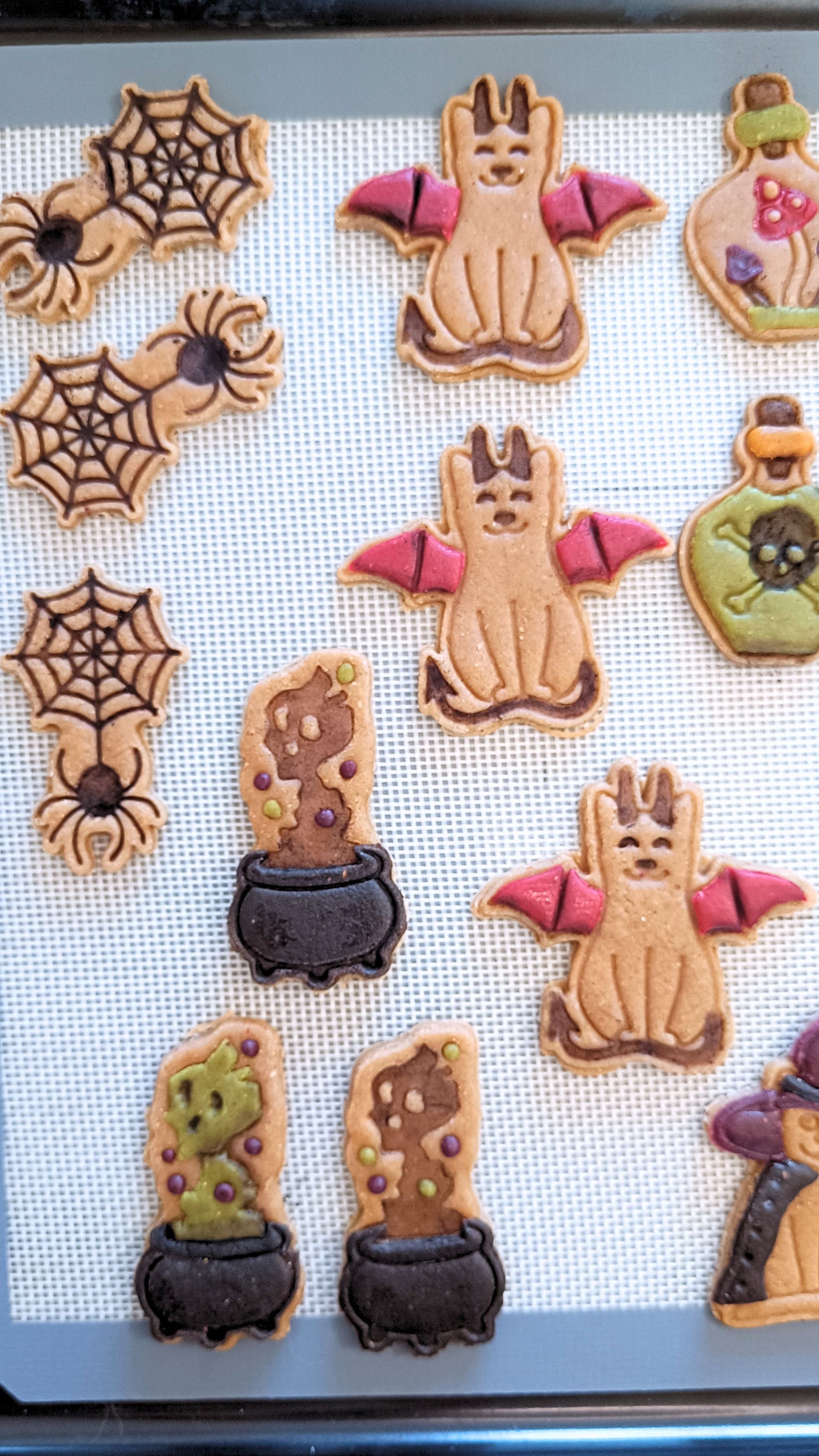 Spider on a web - cookie cutter set