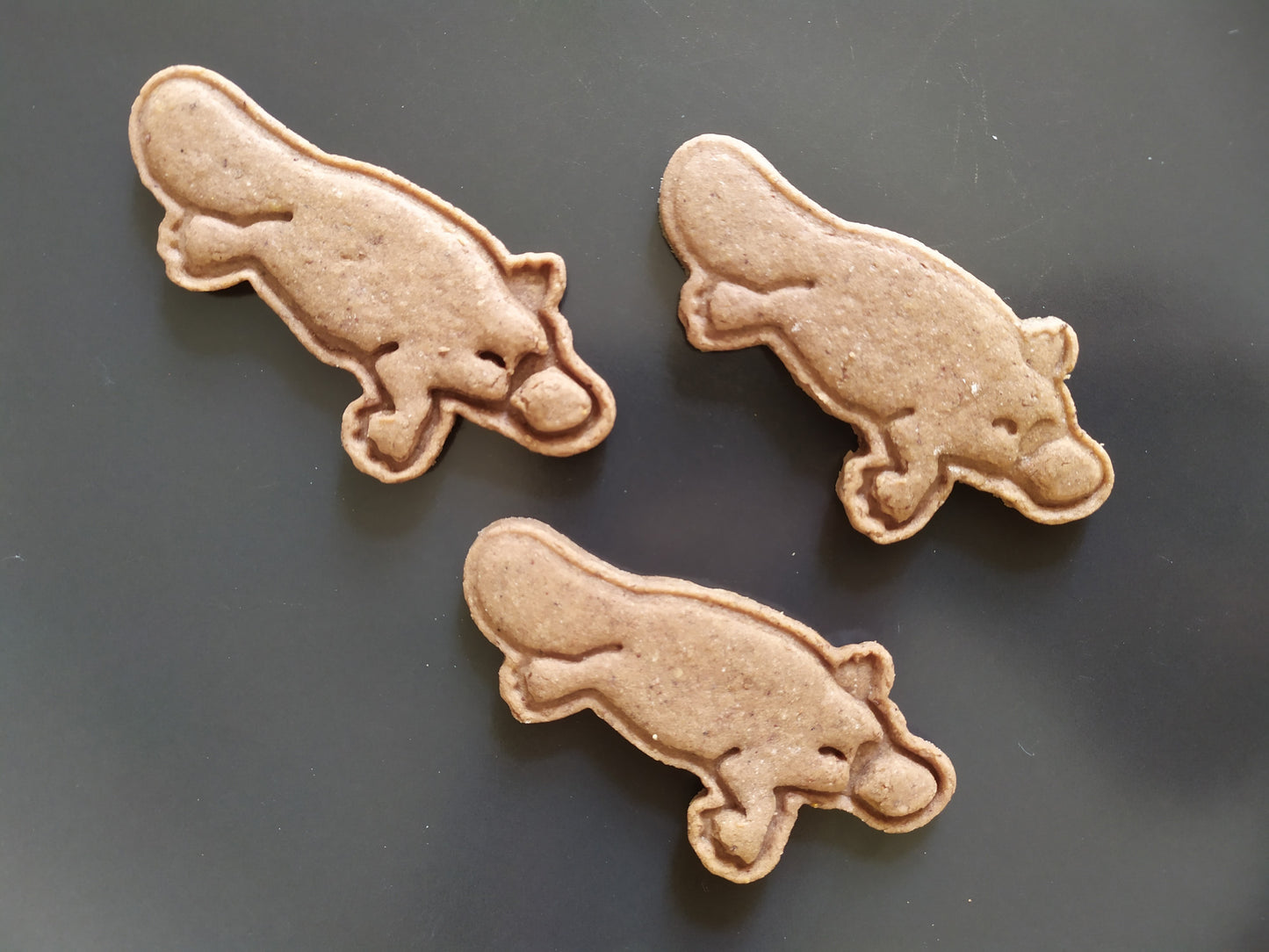 Platypus - cookie cutter set