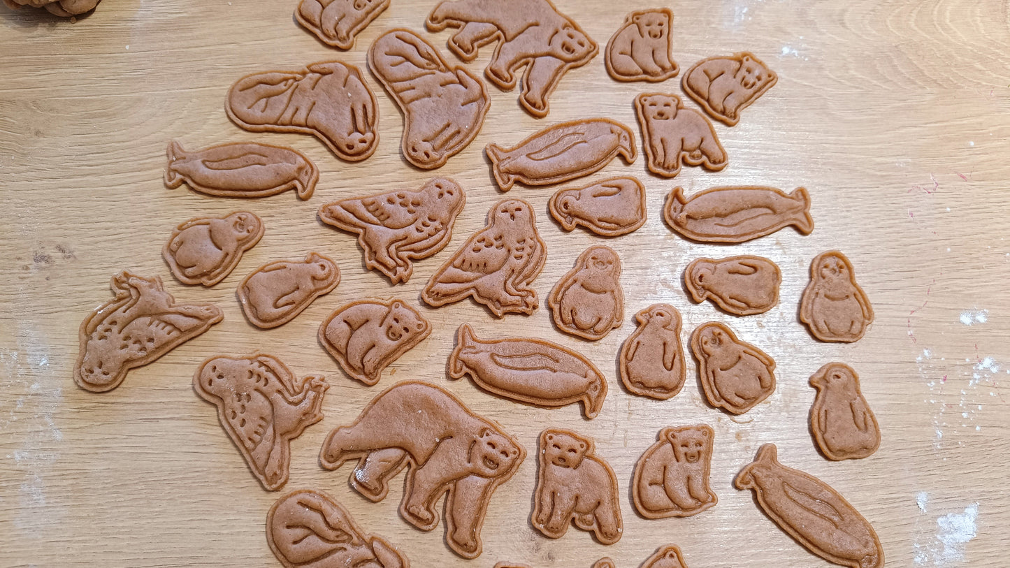 Baby bear, sitting- cookie cutter set