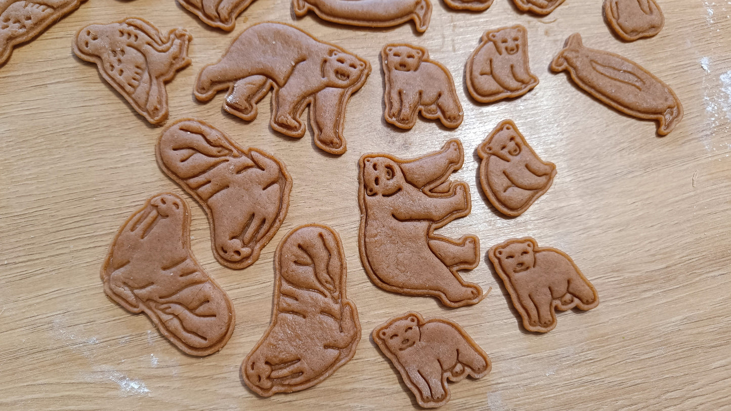 Baby bear, sitting- cookie cutter set
