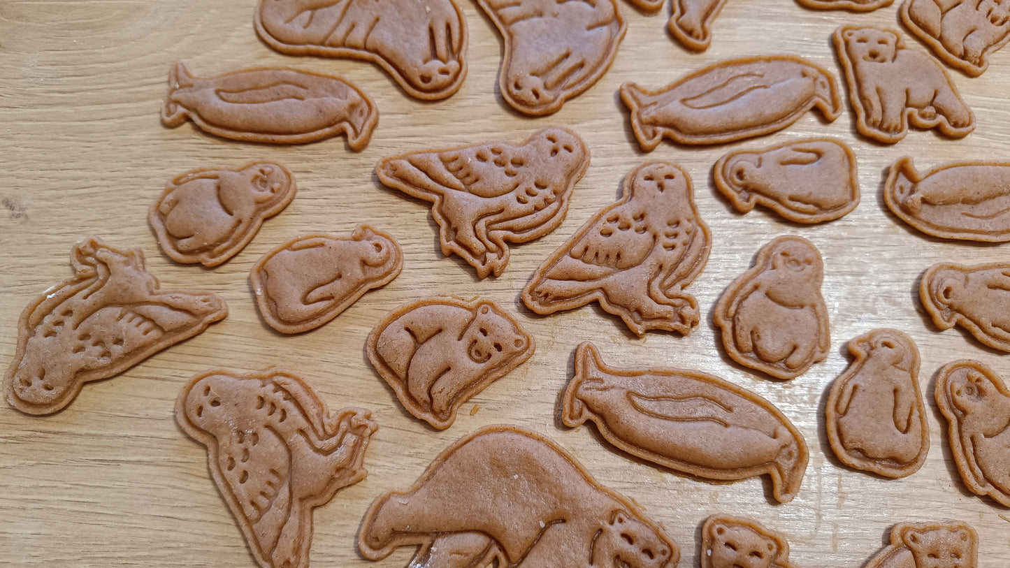 Emperor penguin - cookie cutter set