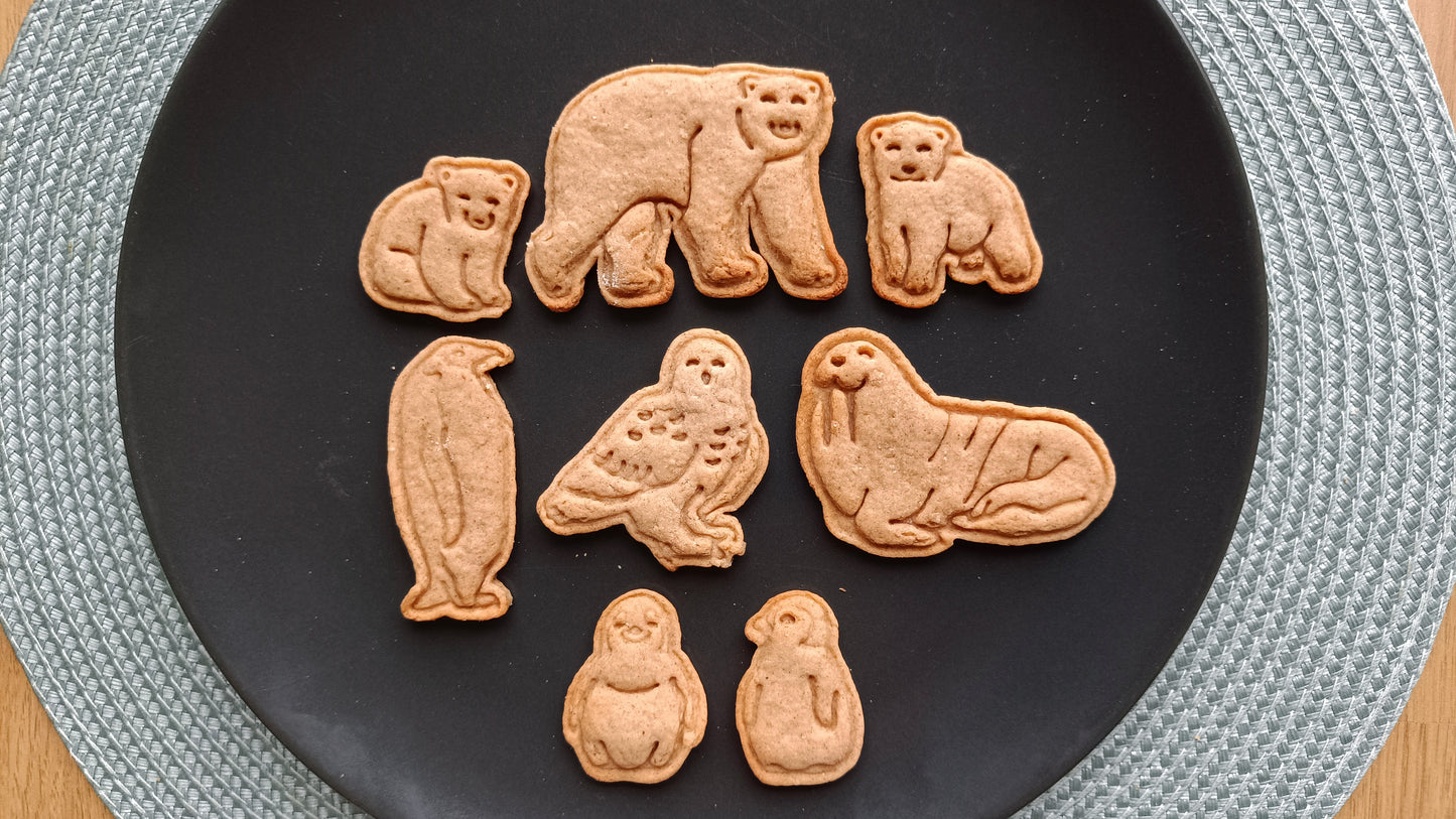 Baby bear, sitting- cookie cutter set