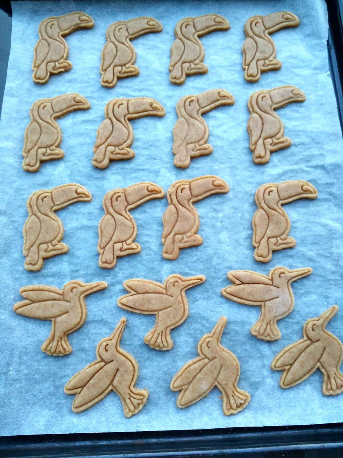 Tucan - cookie cutter set