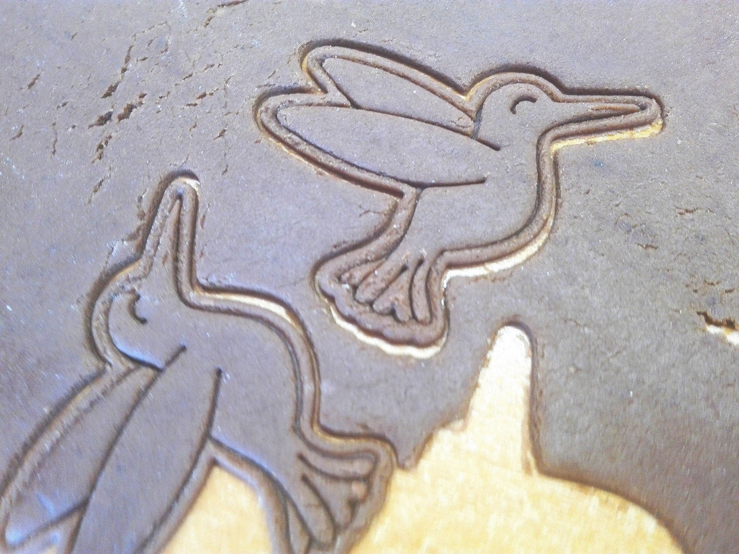 Hummingbird - cookie cutter set