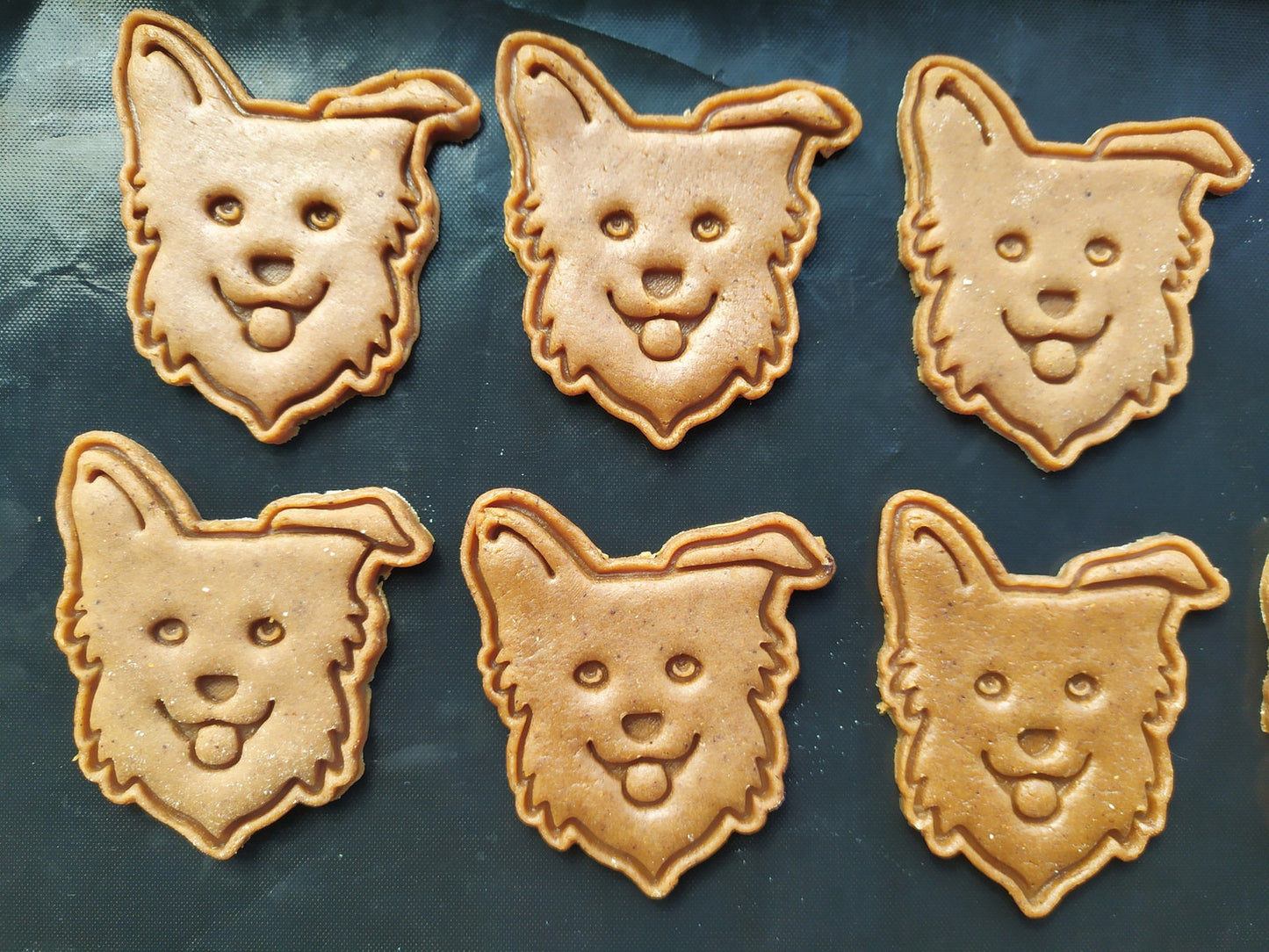 Border Collie - cookie cutter set