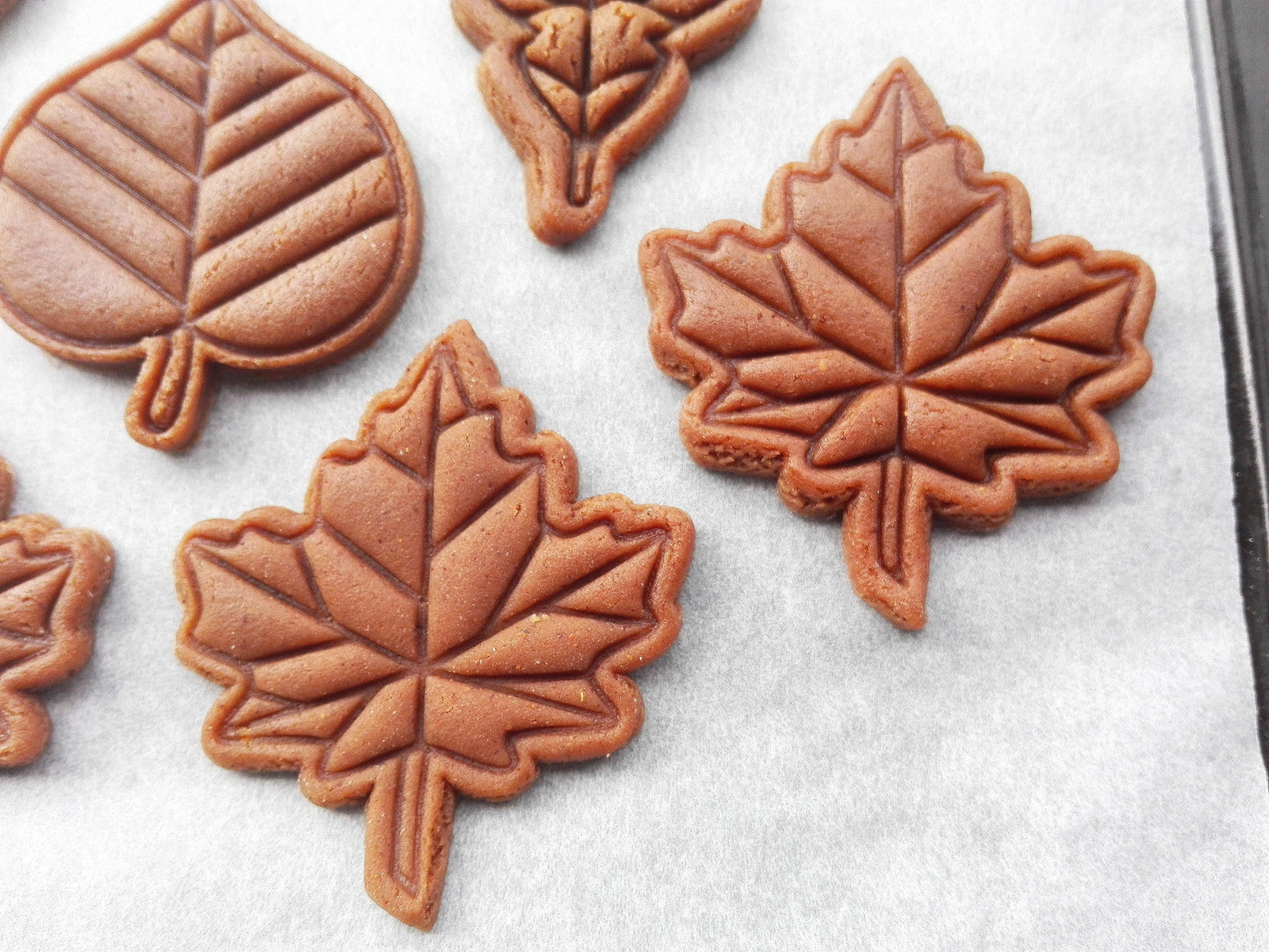 Maple leaf - cookie cutter set