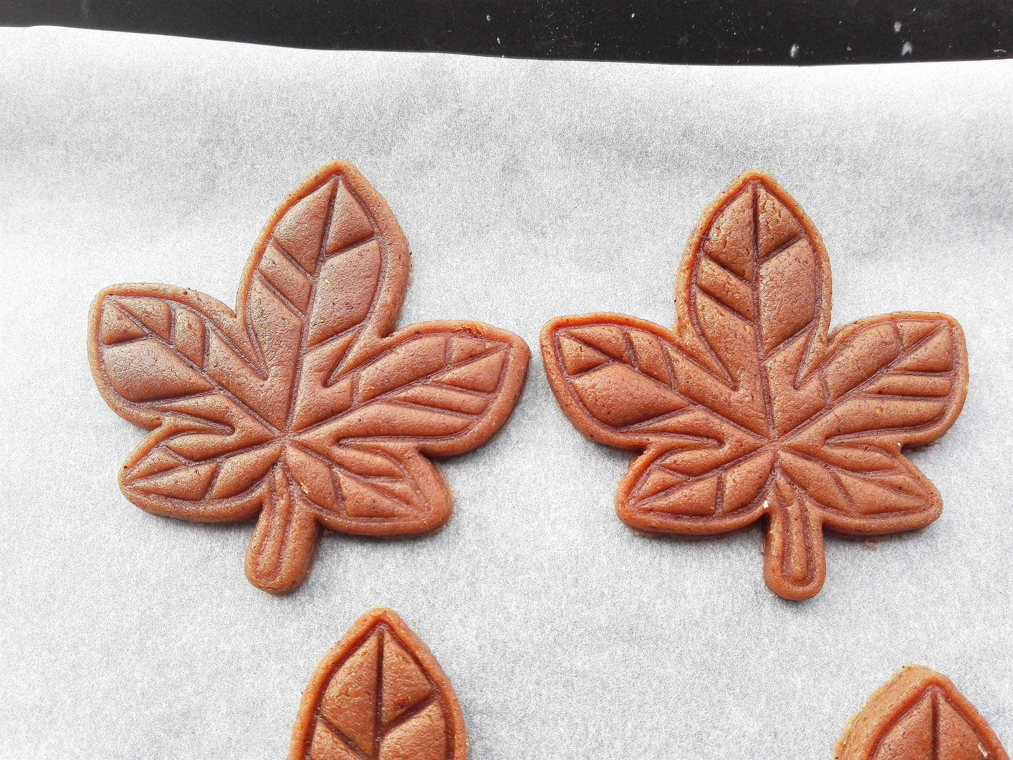 Chestnut leaf - cookie cutter set