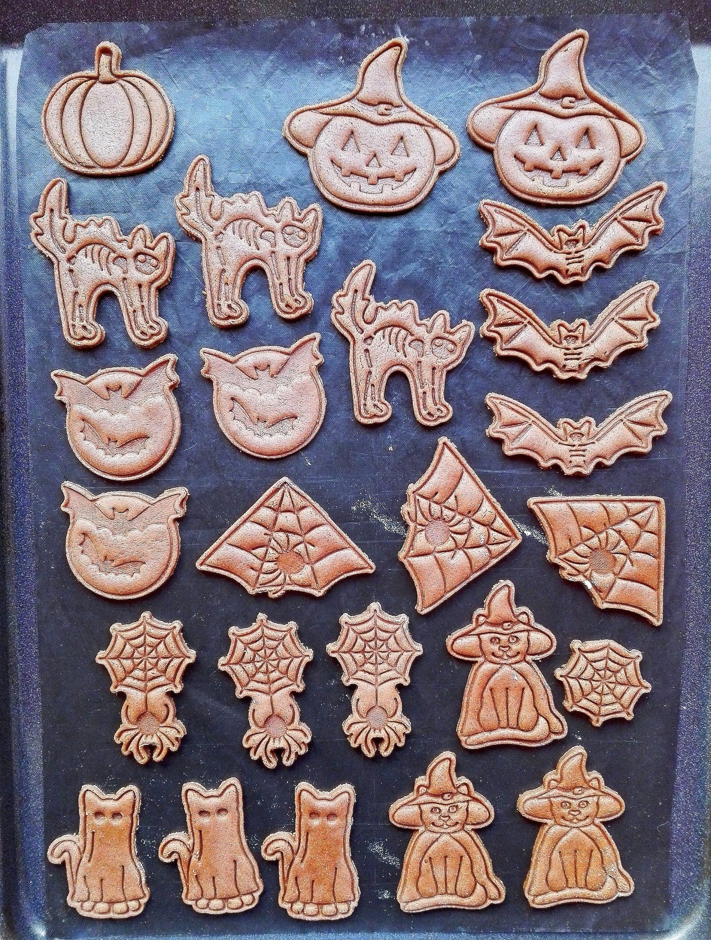 Spider in the corner - cookie cutter set
