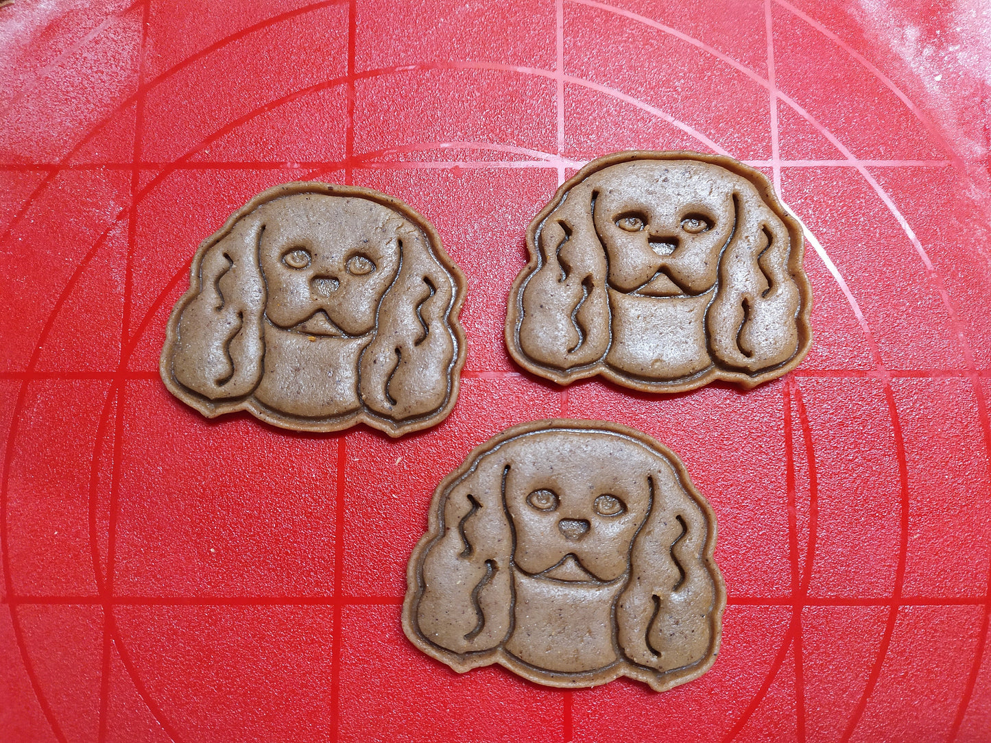 Cavalier King Charles Spaniel - cookie cutter set