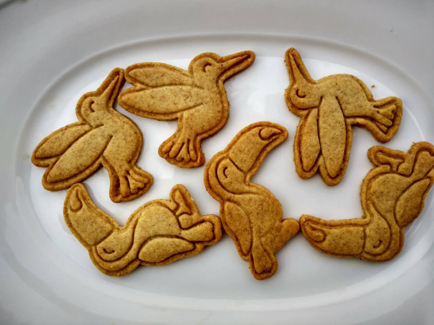 Tucan - cookie cutter set