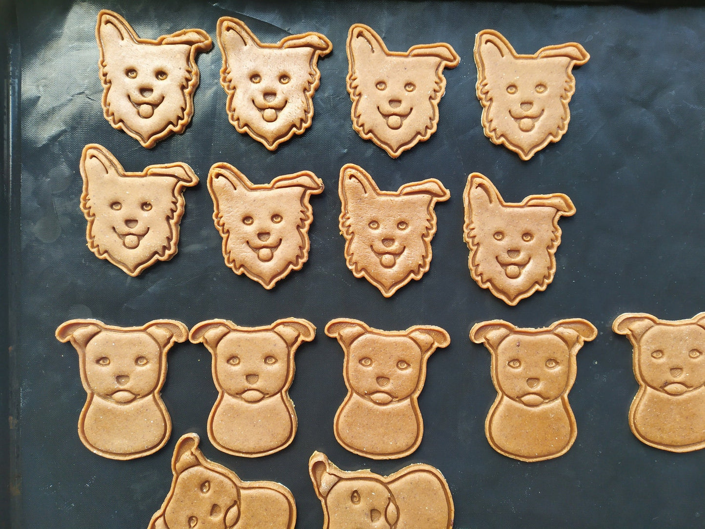 Staffordshire BullTerrier - cookie cutter set