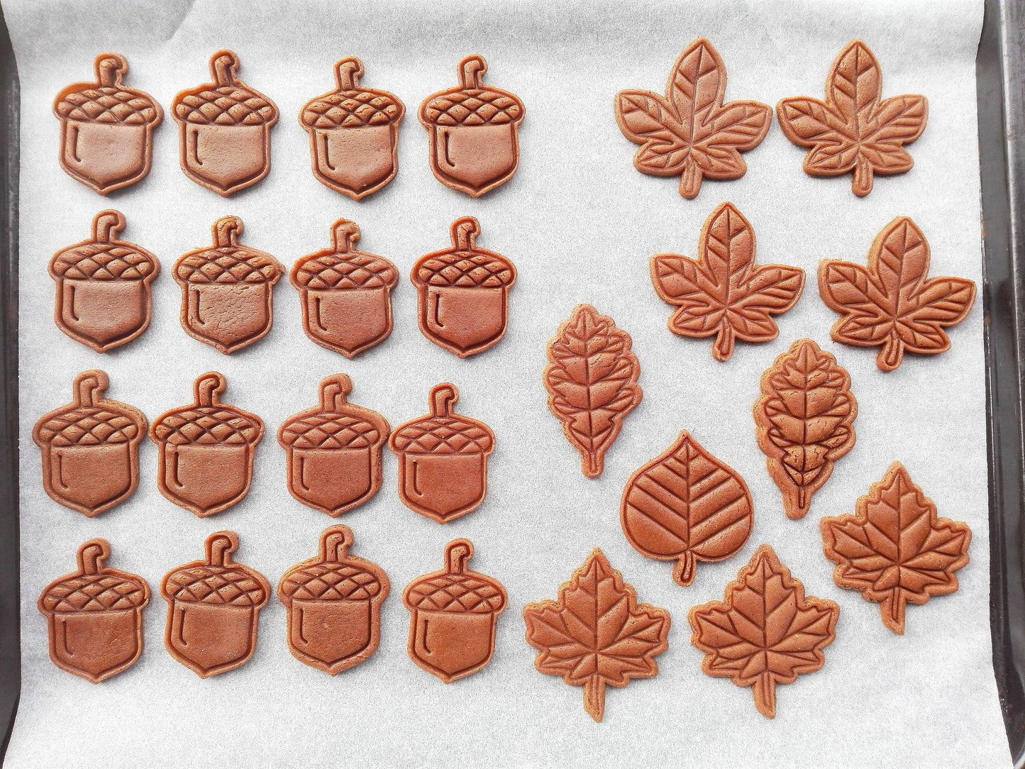 Oak leaf - cookie cutter set