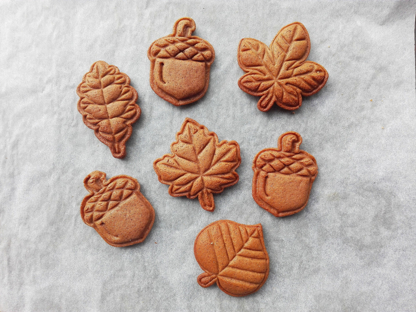 Oak leaf - cookie cutter set