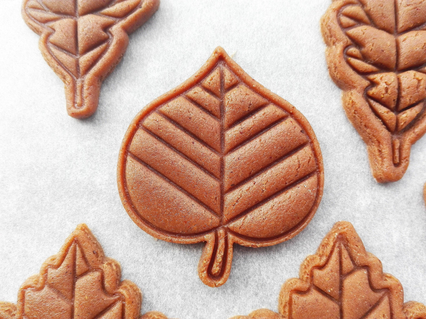 Linden leaf - cookie cutter set