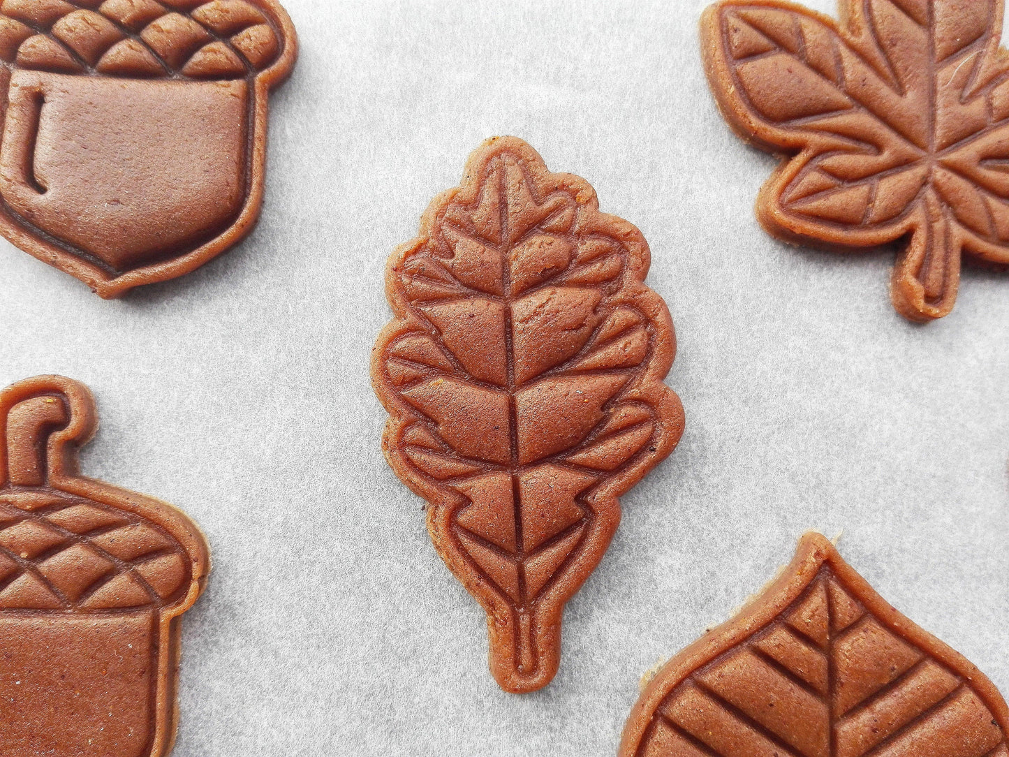 Oak leaf - cookie cutter set