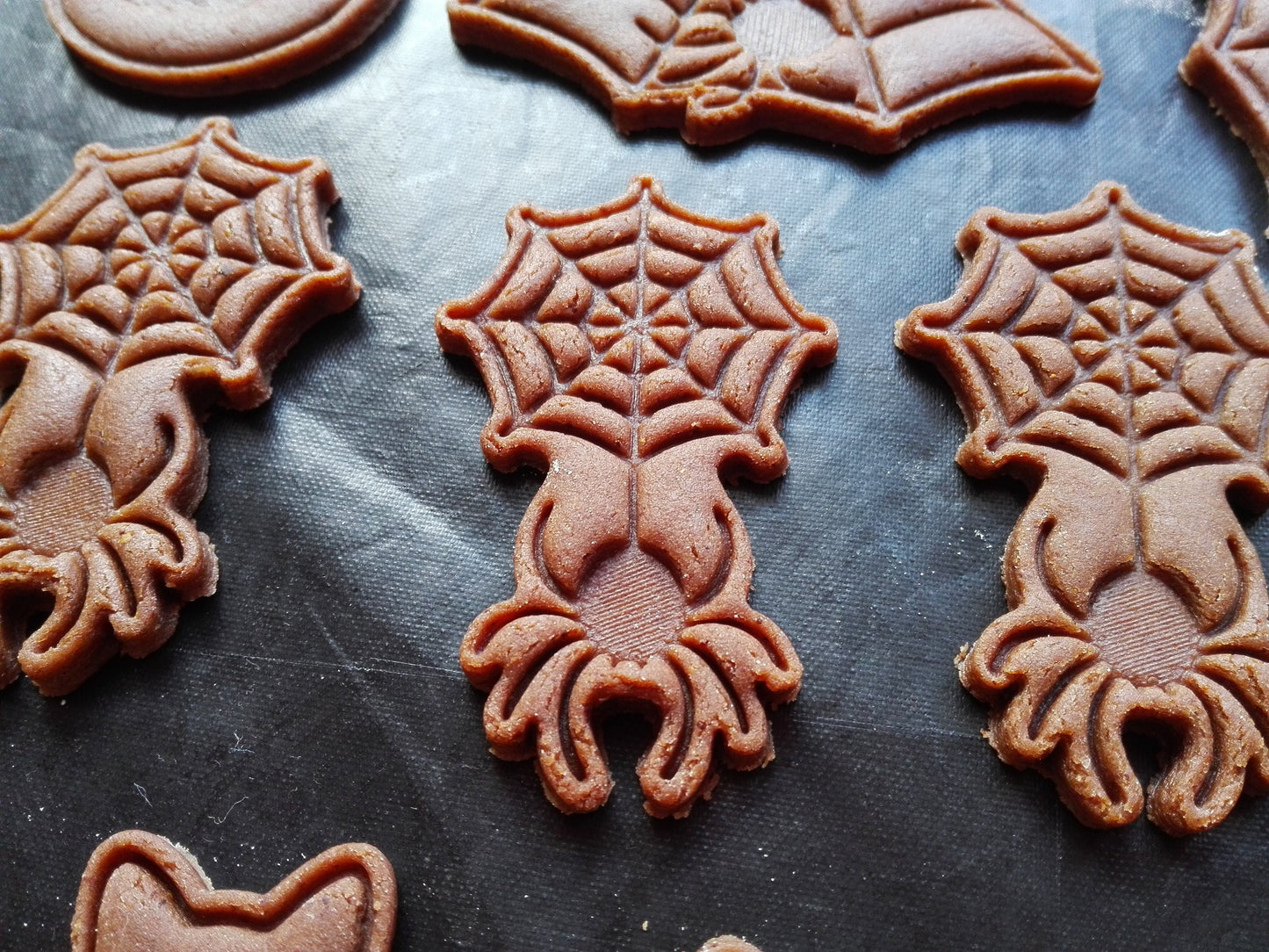 Spider on a web - cookie cutter set