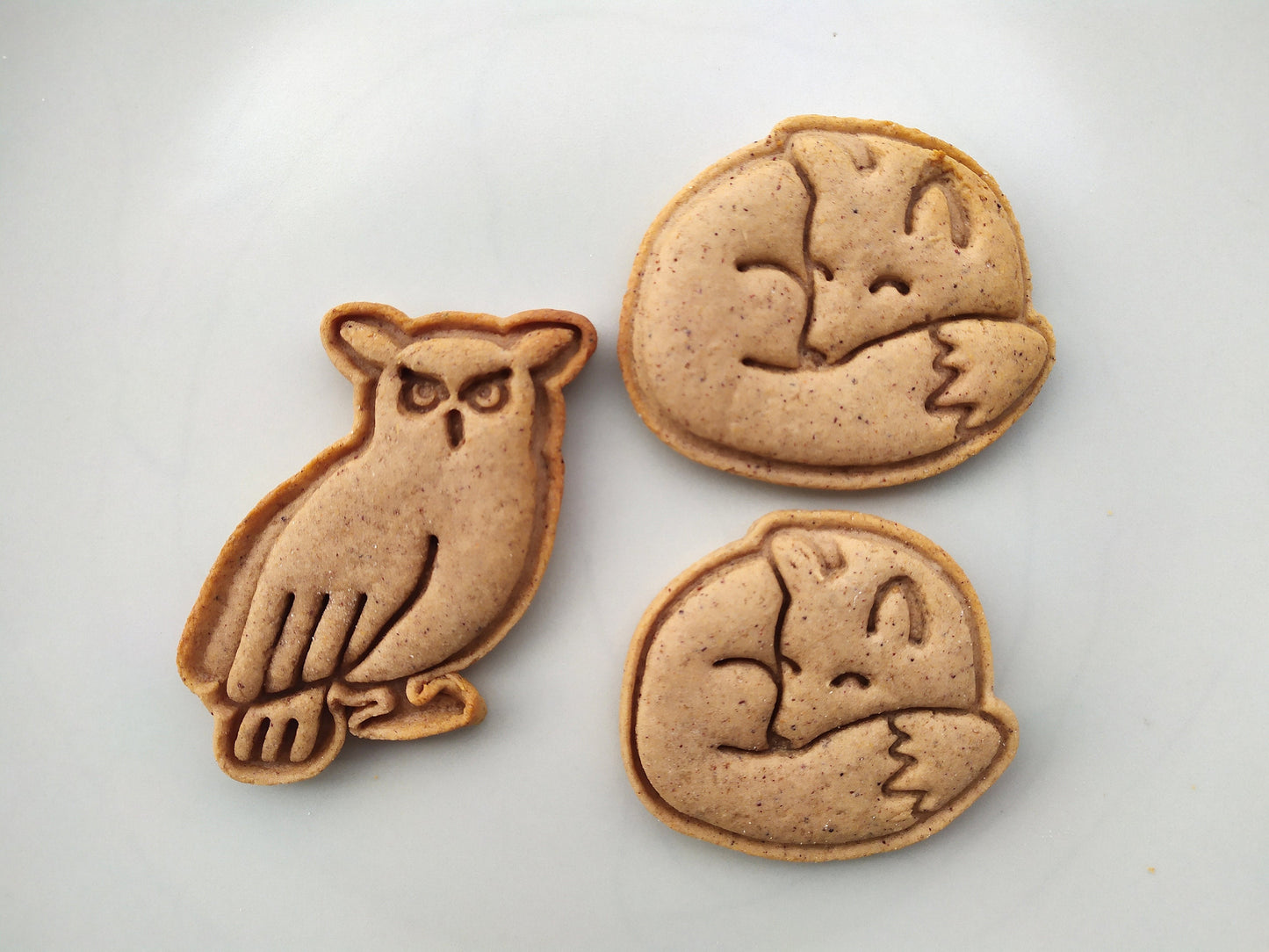 Owl - cookie cutter set