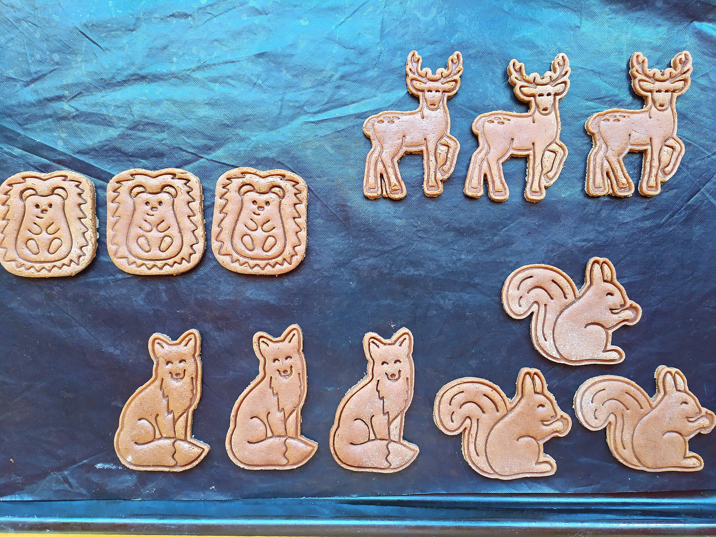 Squirrel - cookie cutter set