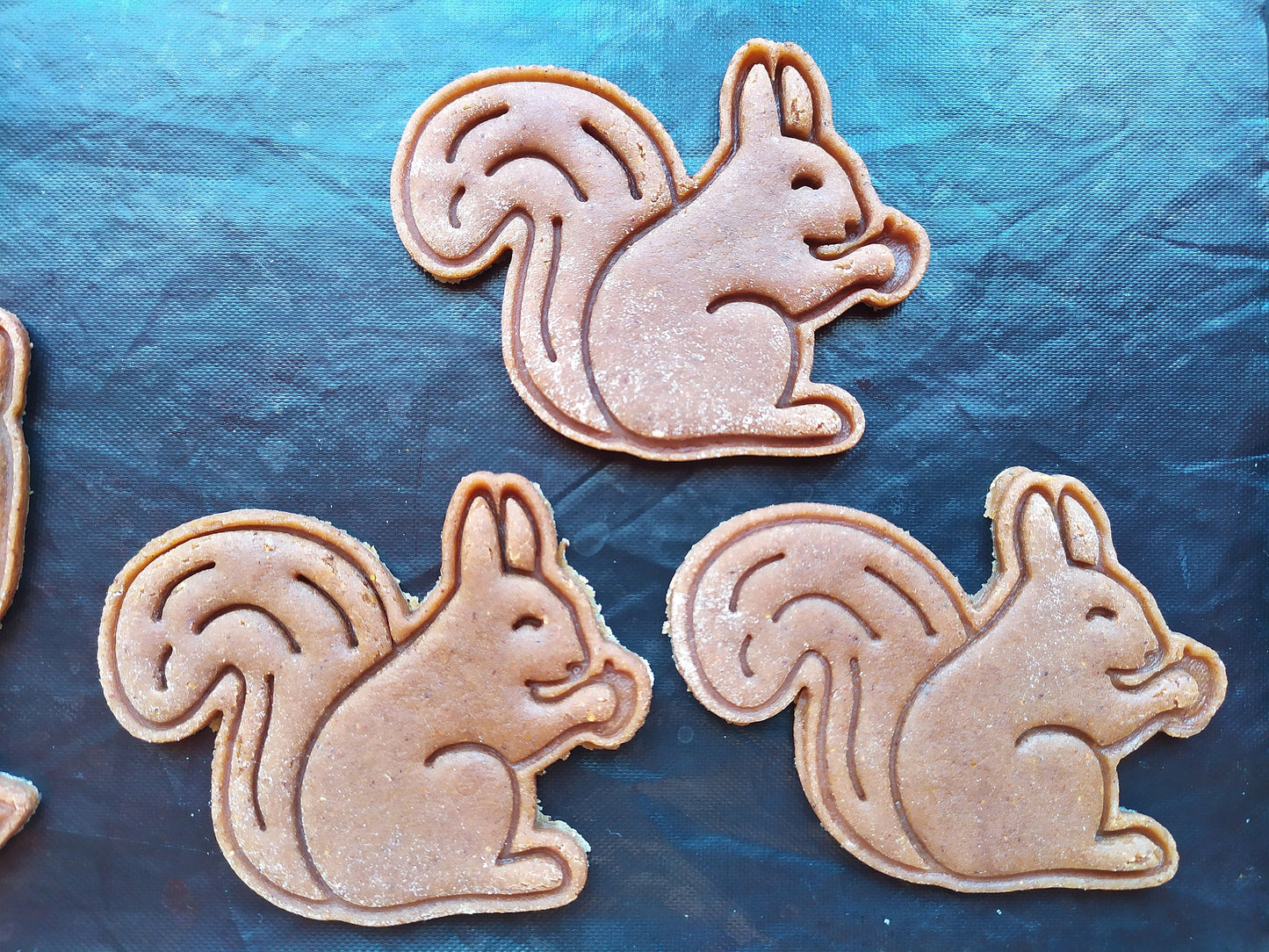 Squirrel - cookie cutter set