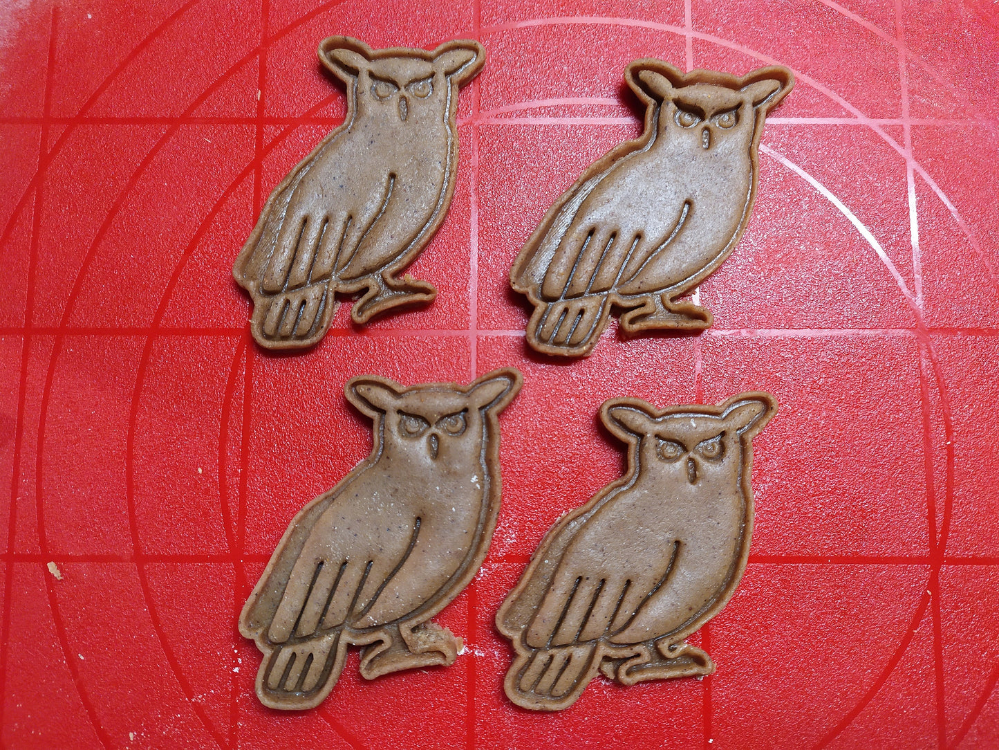 Owl - cookie cutter set
