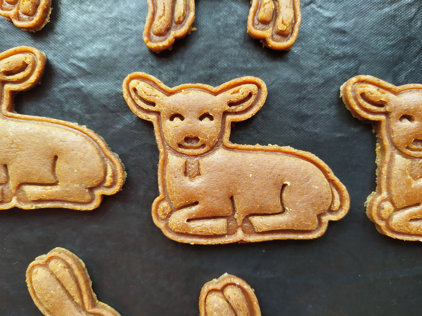 Lying lamb  - cookie cutter set