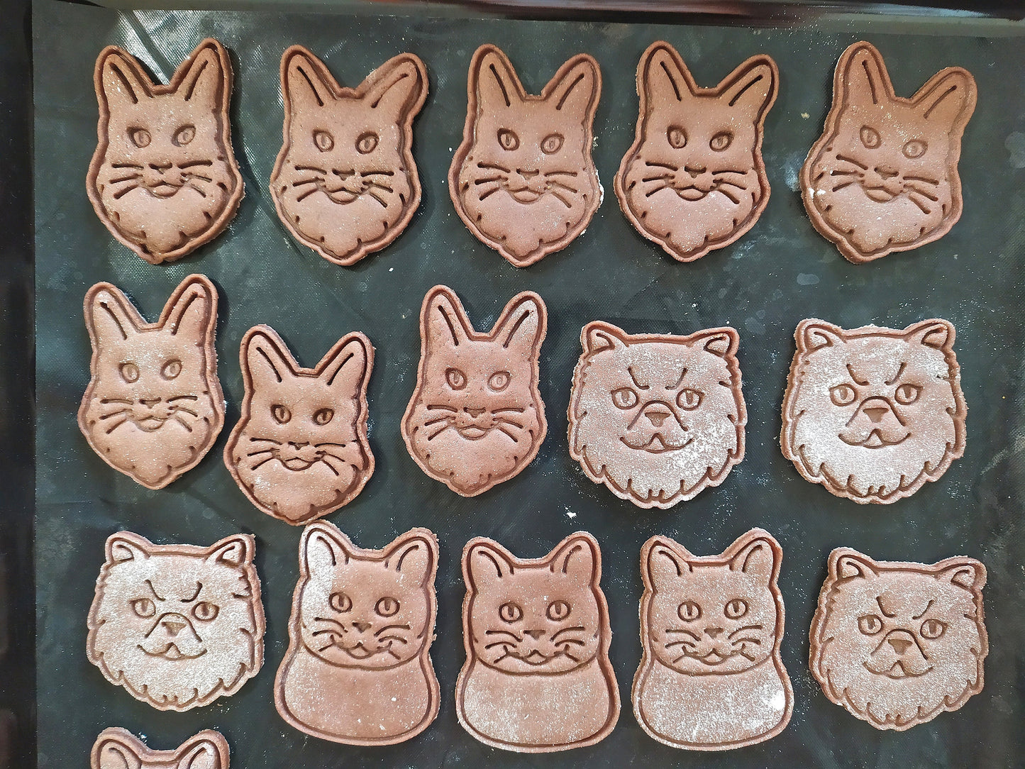 Maine Coon Cat - cookie cutter set