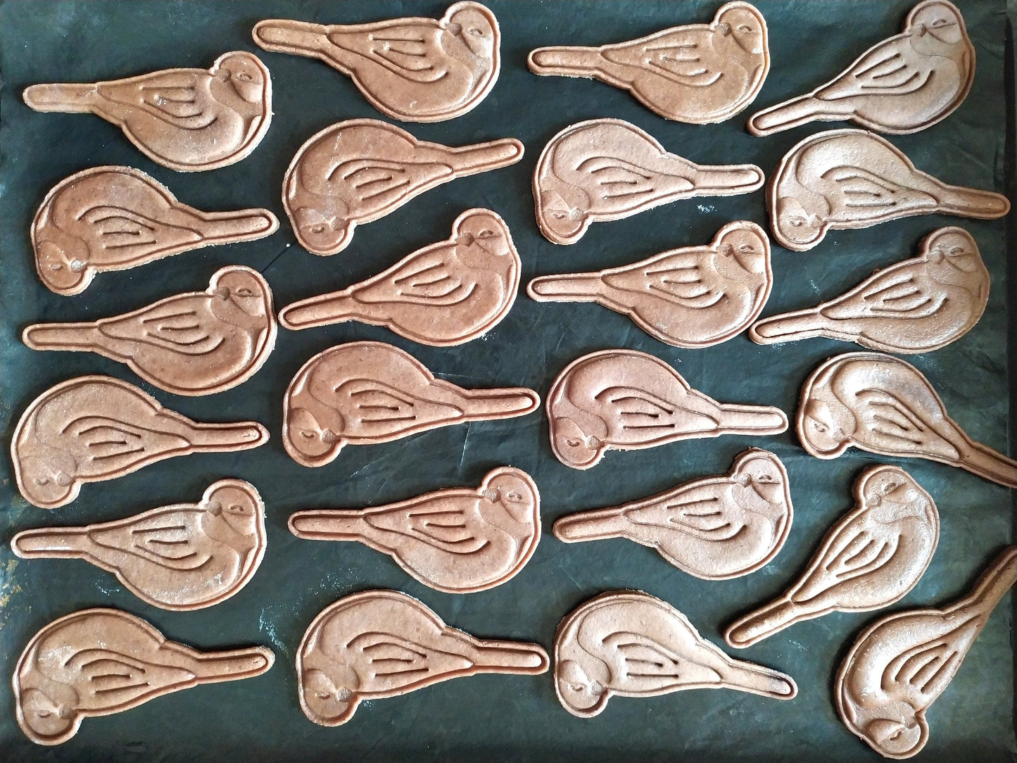 Great tit - cookie cutter set
