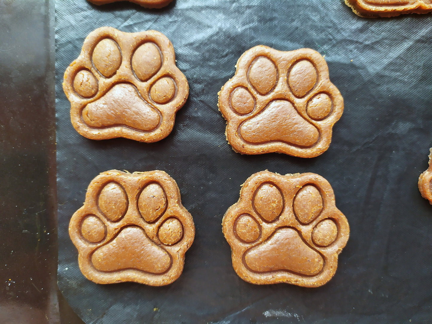 Paw - cookie cutter set