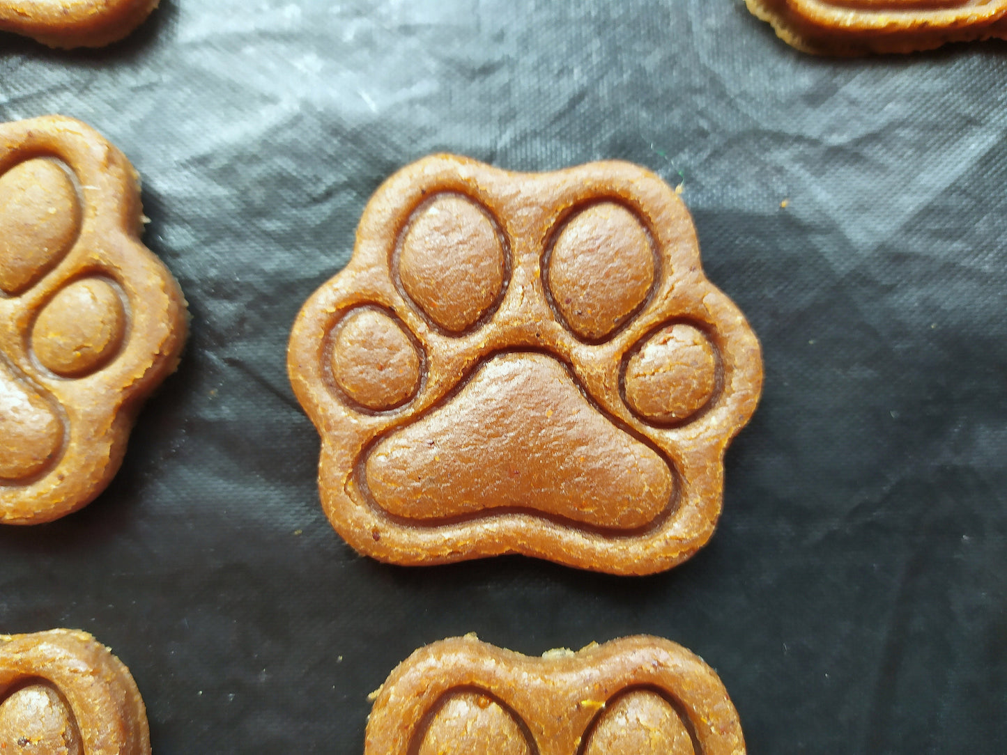 Paw - cookie cutter set