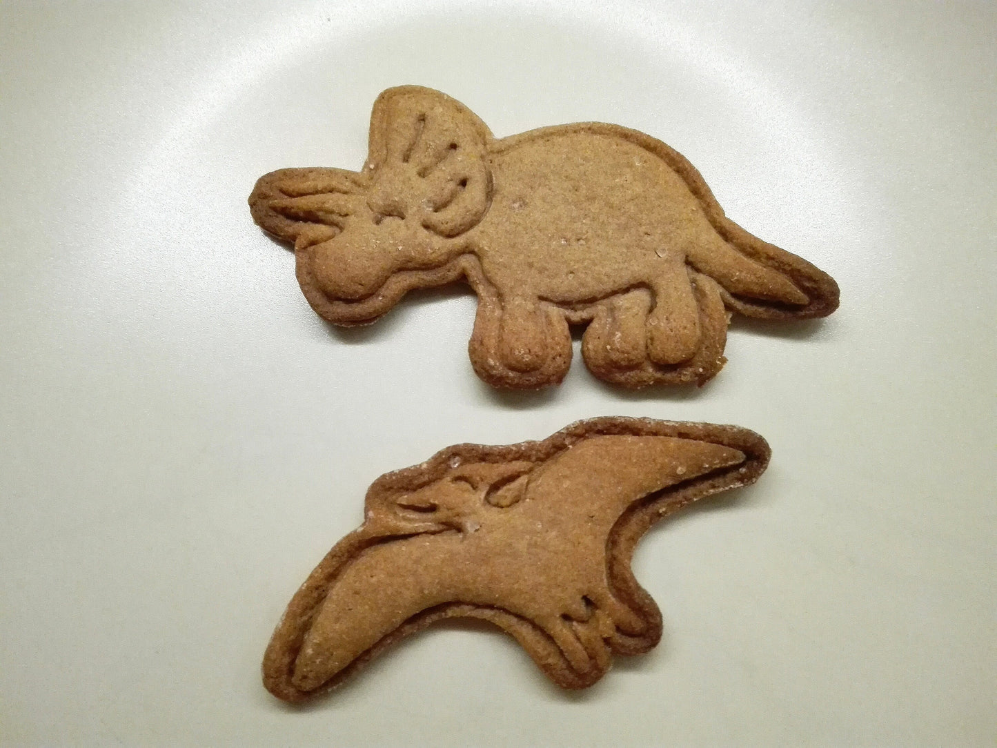 Triceratops - cookie cutter set