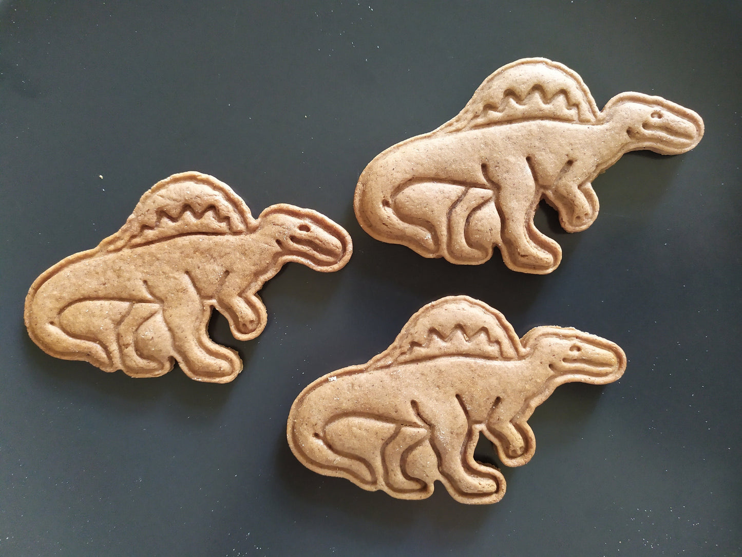 Spinosaurus - cookie cutter set