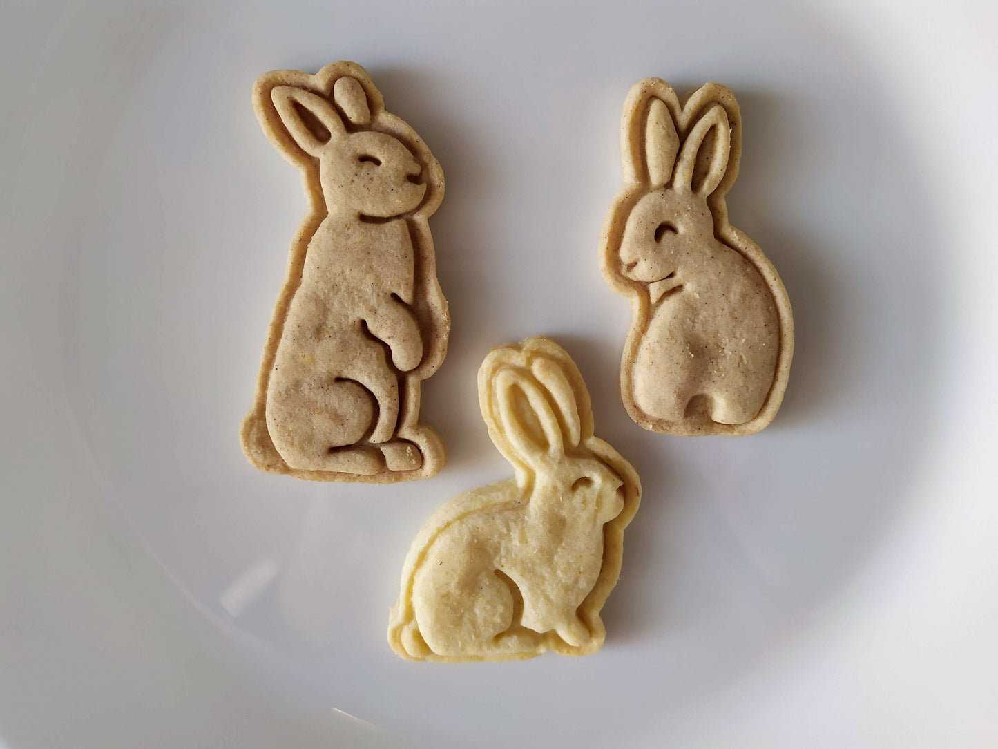 Sitting bunny - cookie cutter set