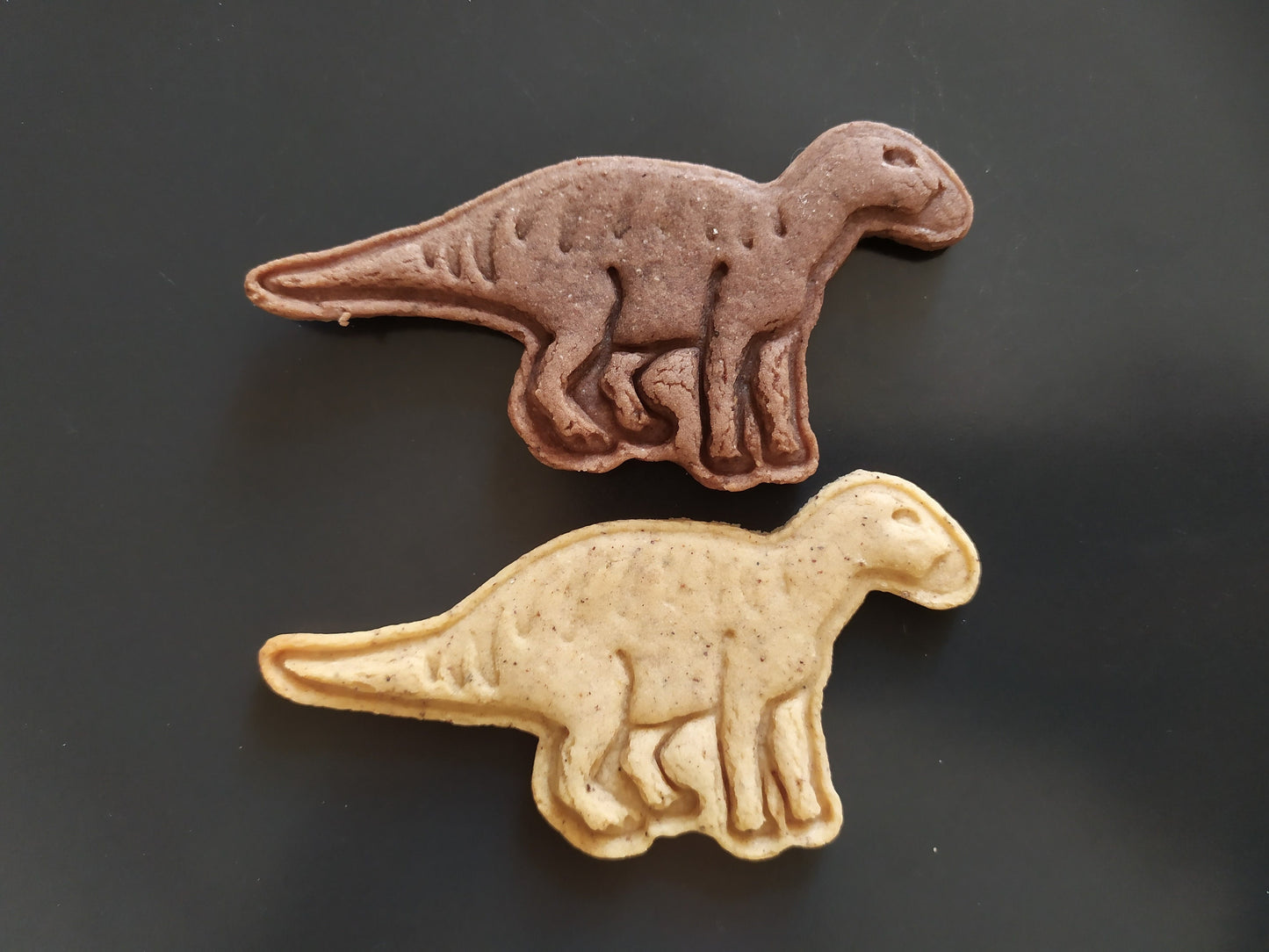 Iguanodon - cookie cutter set