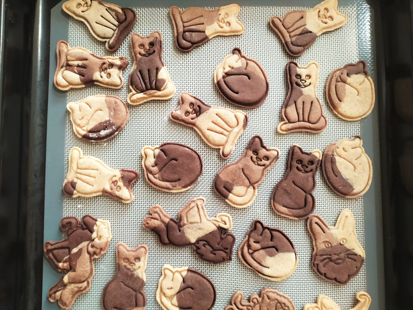 Sitting cat - cookie cutter set