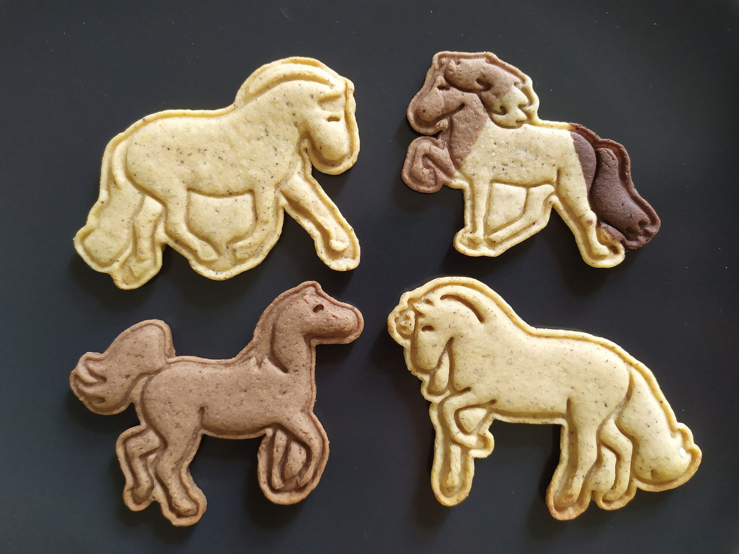 Arabian horse - cookie cutter set