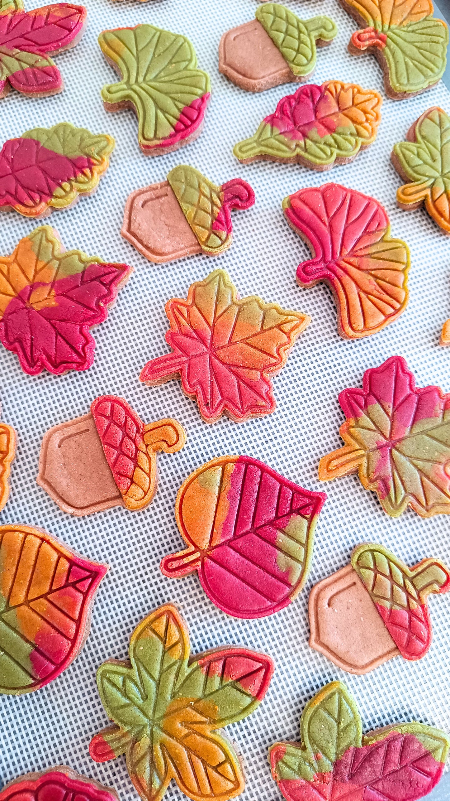 Maple leaf - cookie cutter set