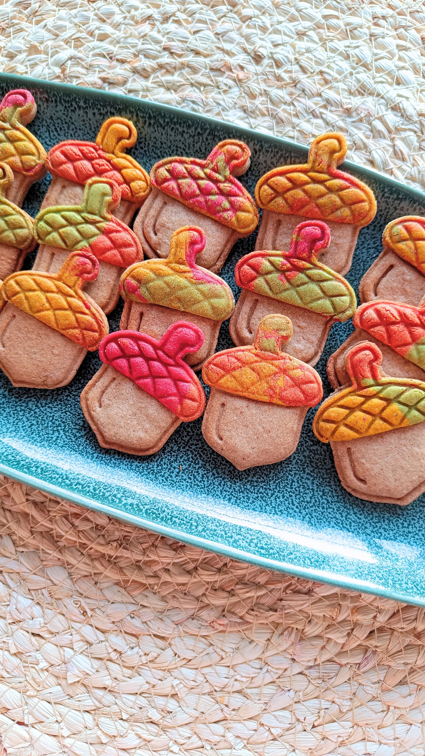 Acorn - cookie cutter set