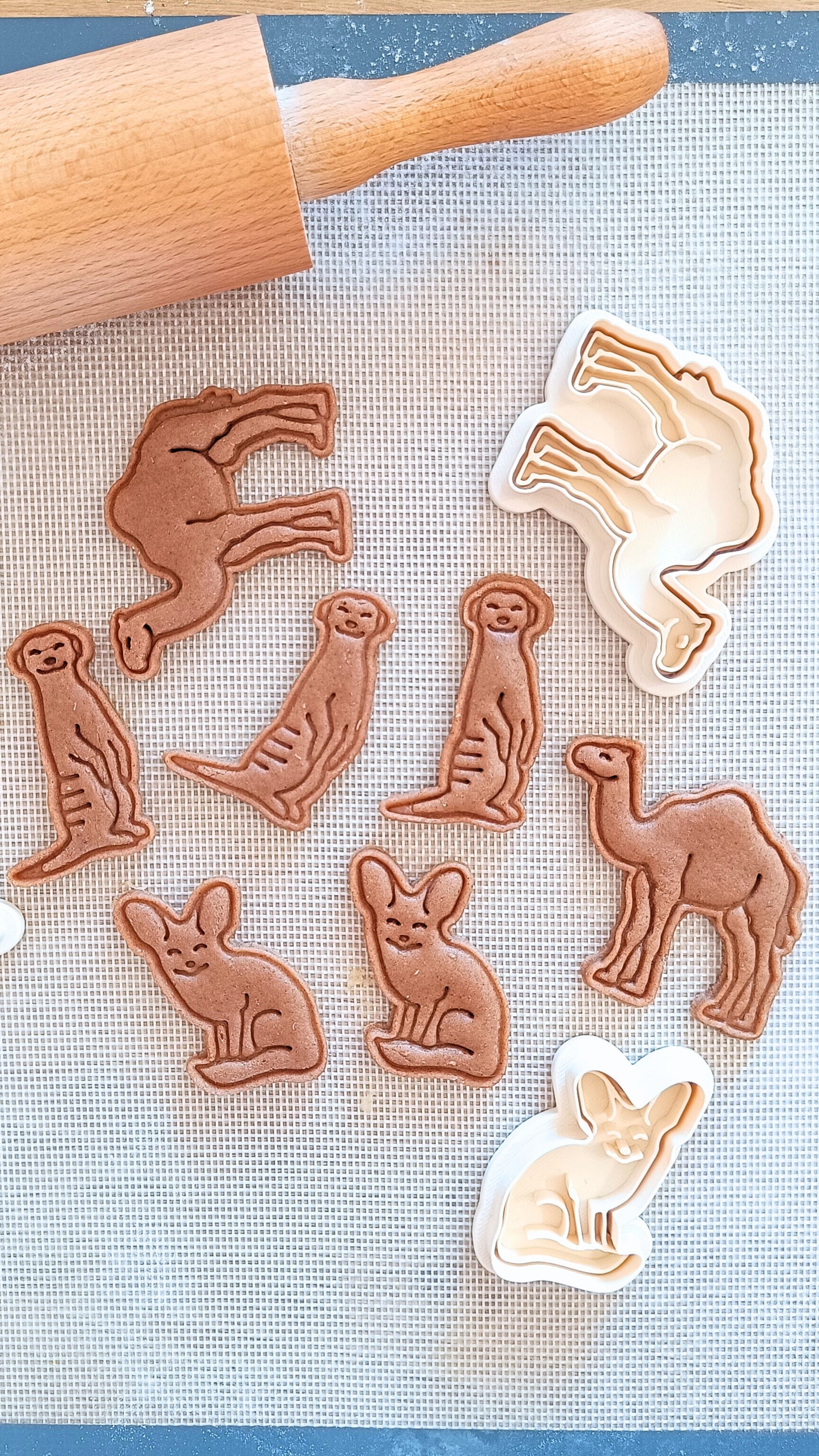 Camel - cookie cutter set