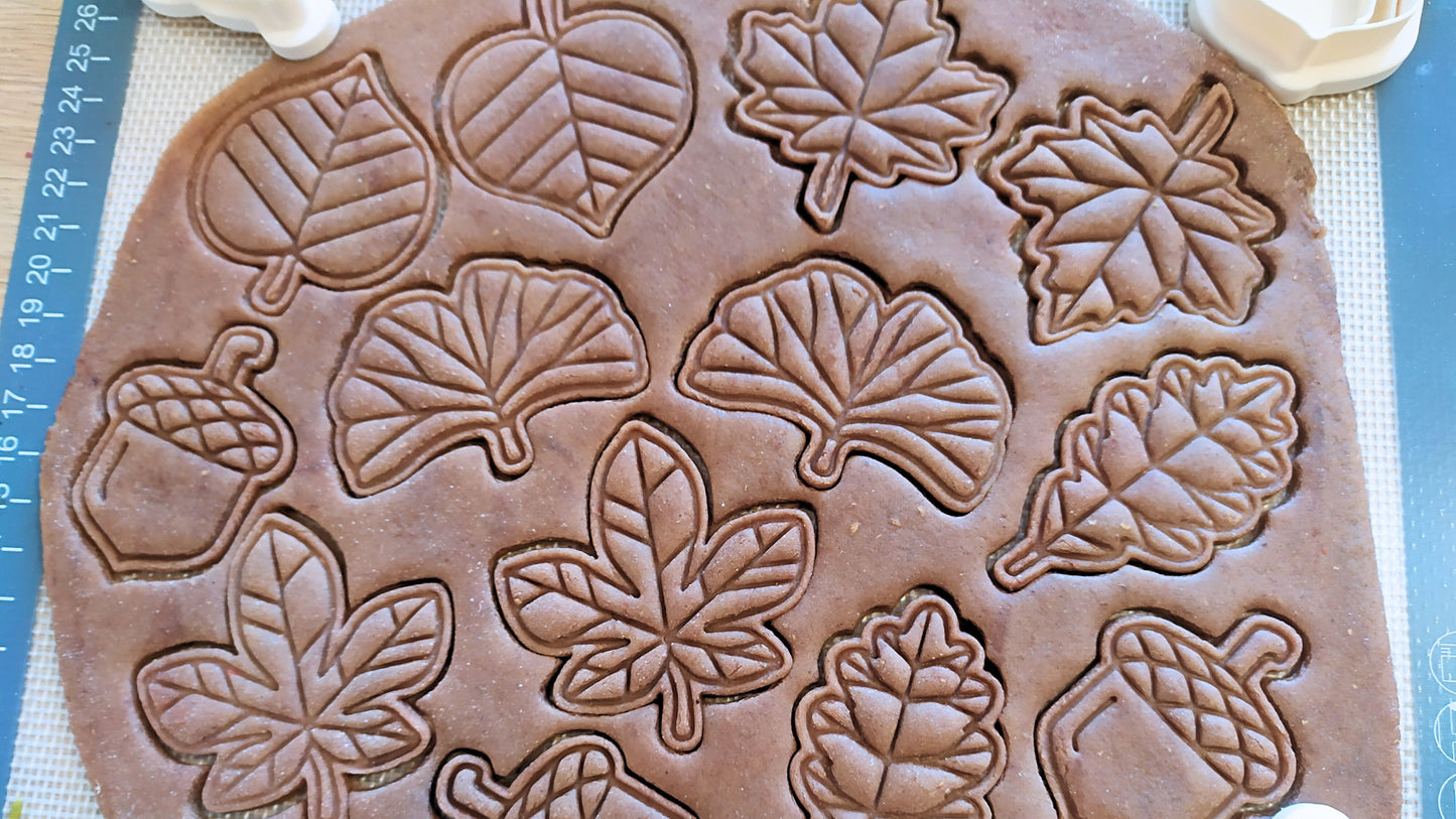 Ginkgo biloba leaf - cookie cutter set
