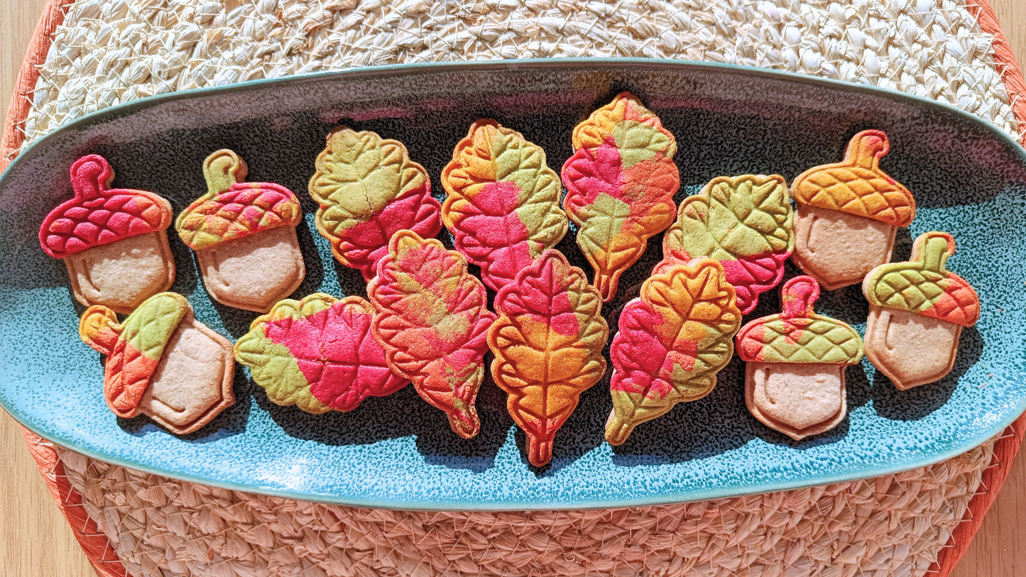 Acorn - cookie cutter set