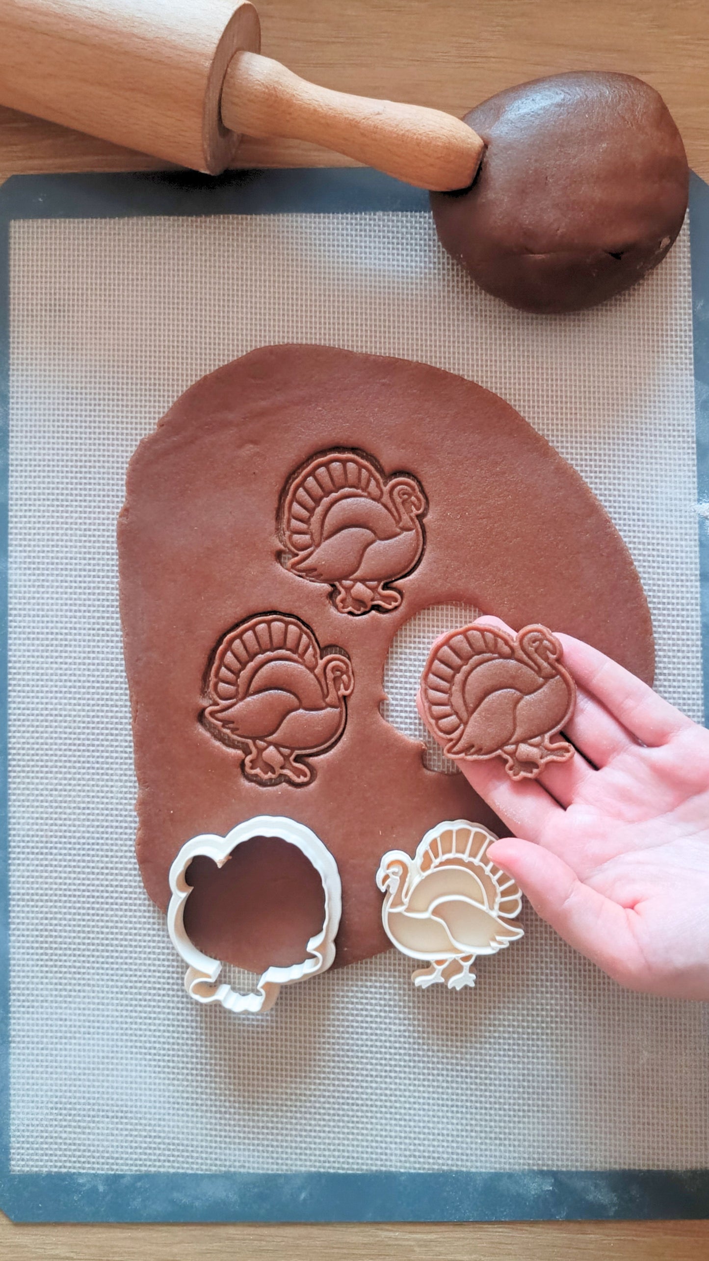 Turkey - cookie cutter set
