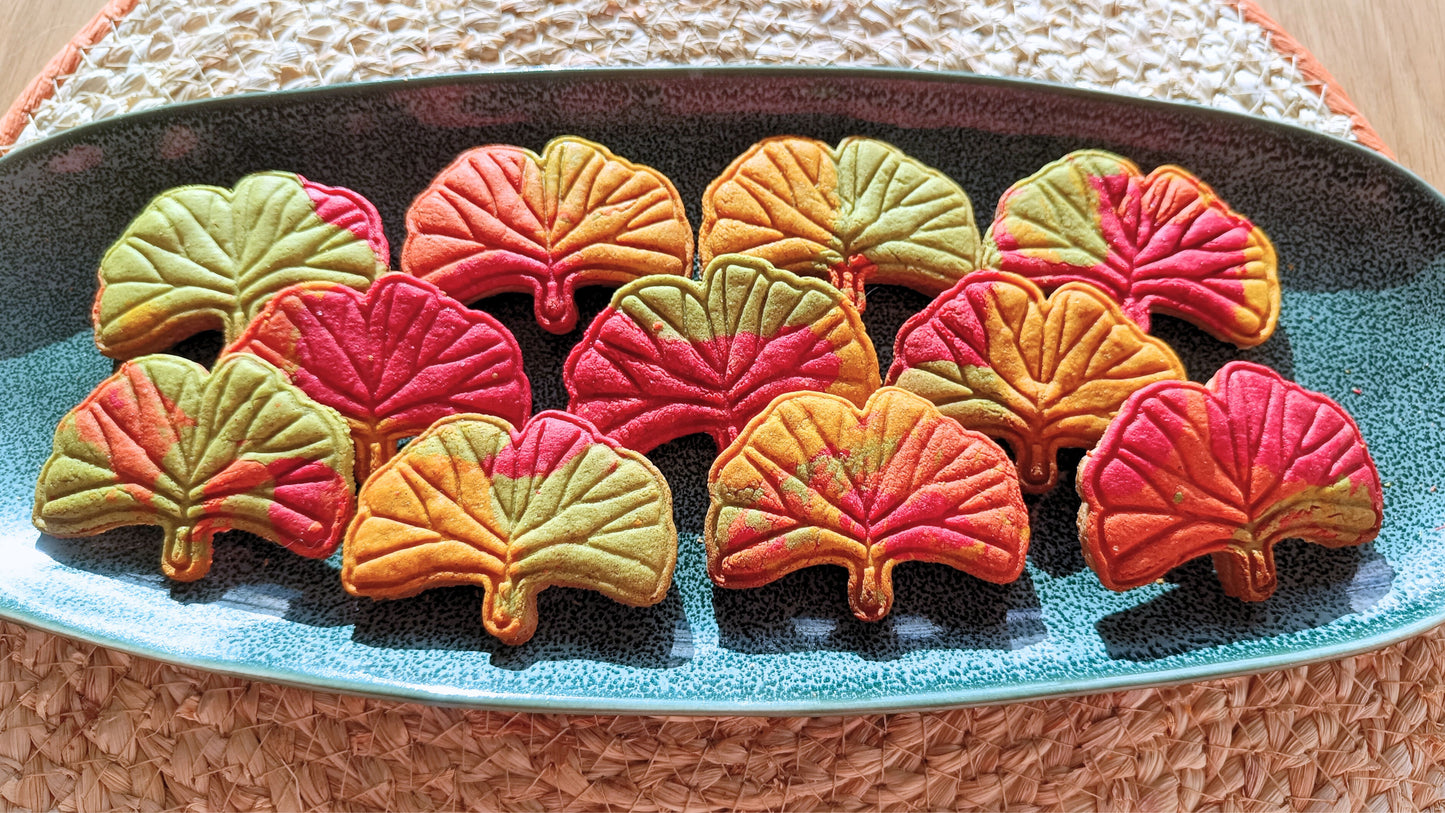 Ginkgo biloba leaf - cookie cutter set