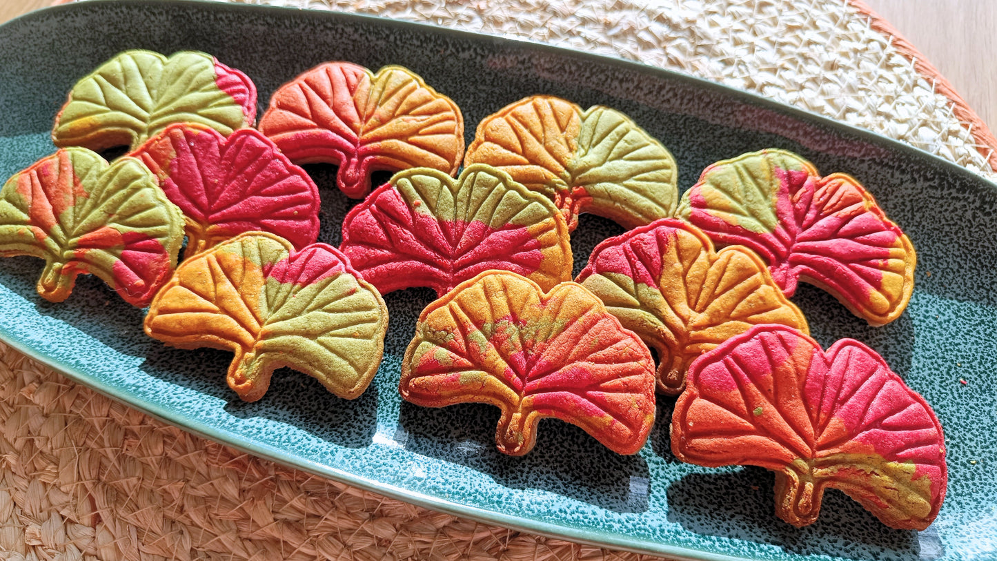 Ginkgo biloba leaf - cookie cutter set