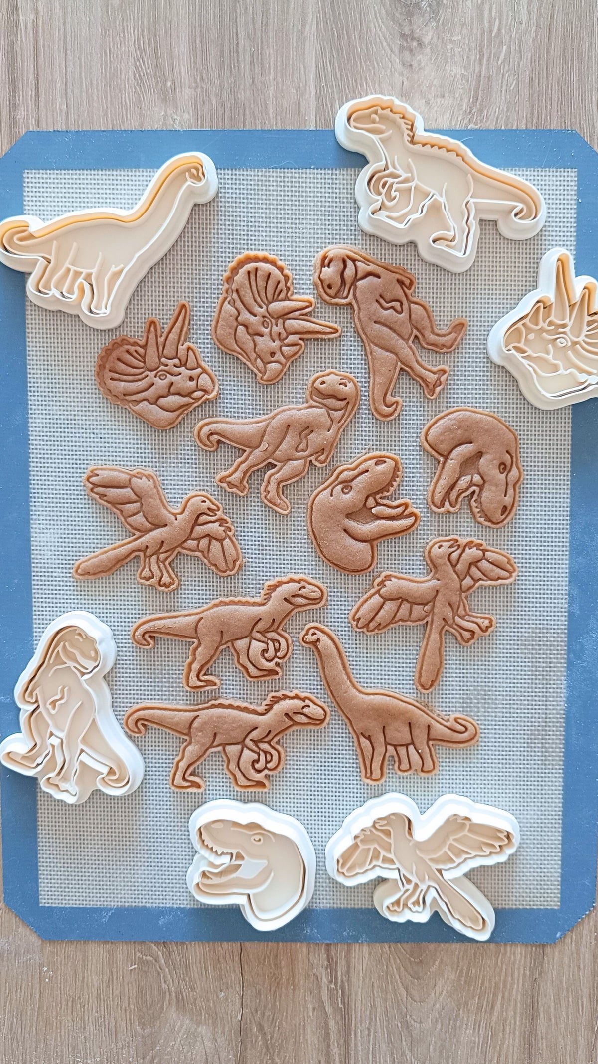 Brachyosaurus- cookie cutter set