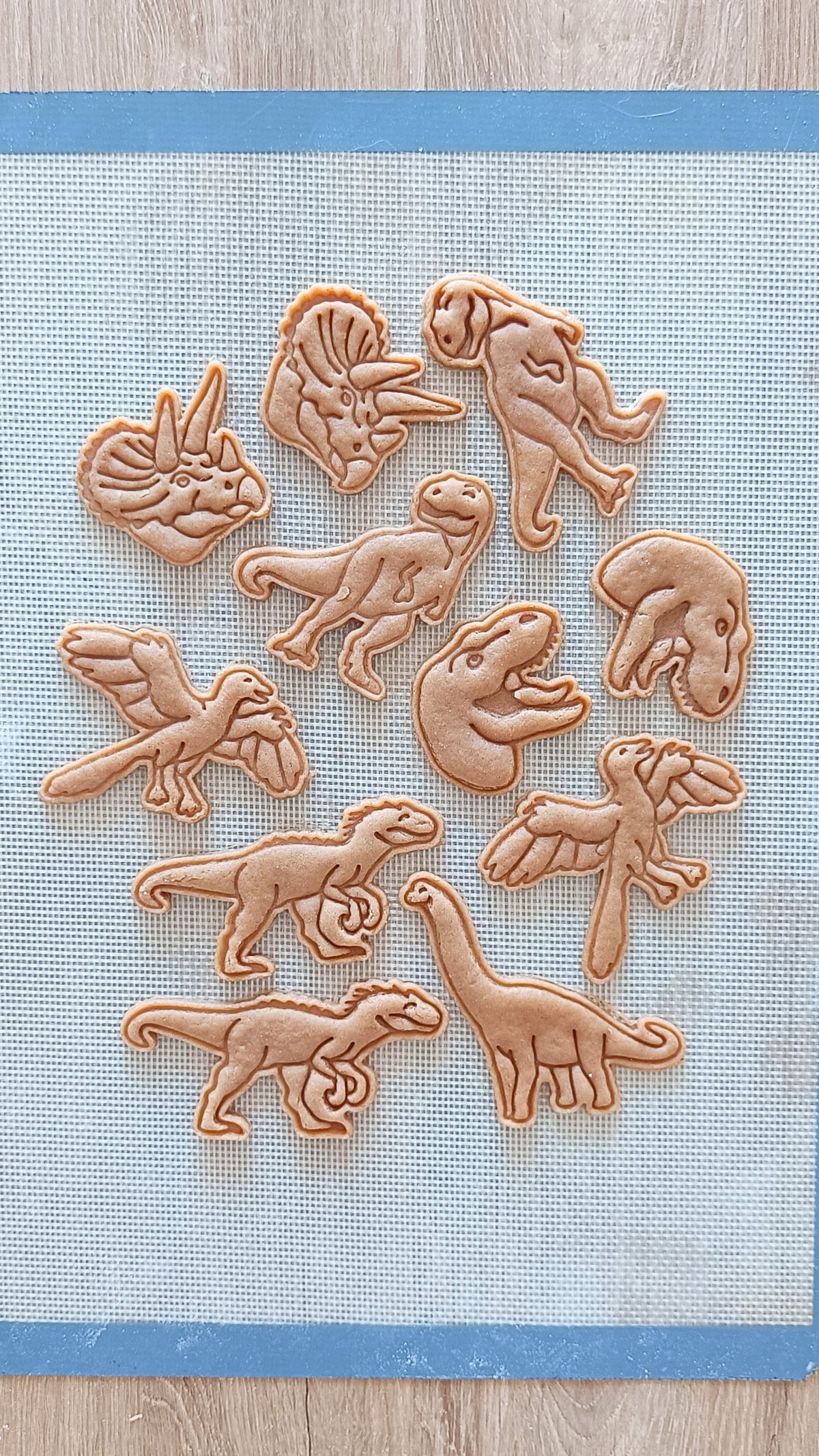 Brachyosaurus- cookie cutter set