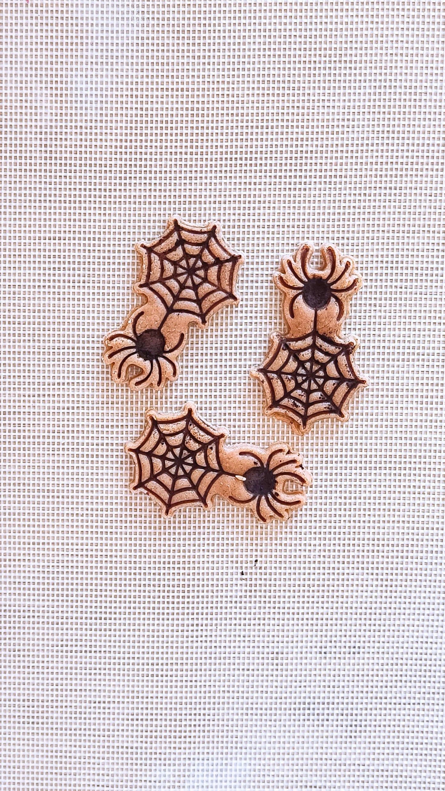 Spider on a web - cookie cutter set