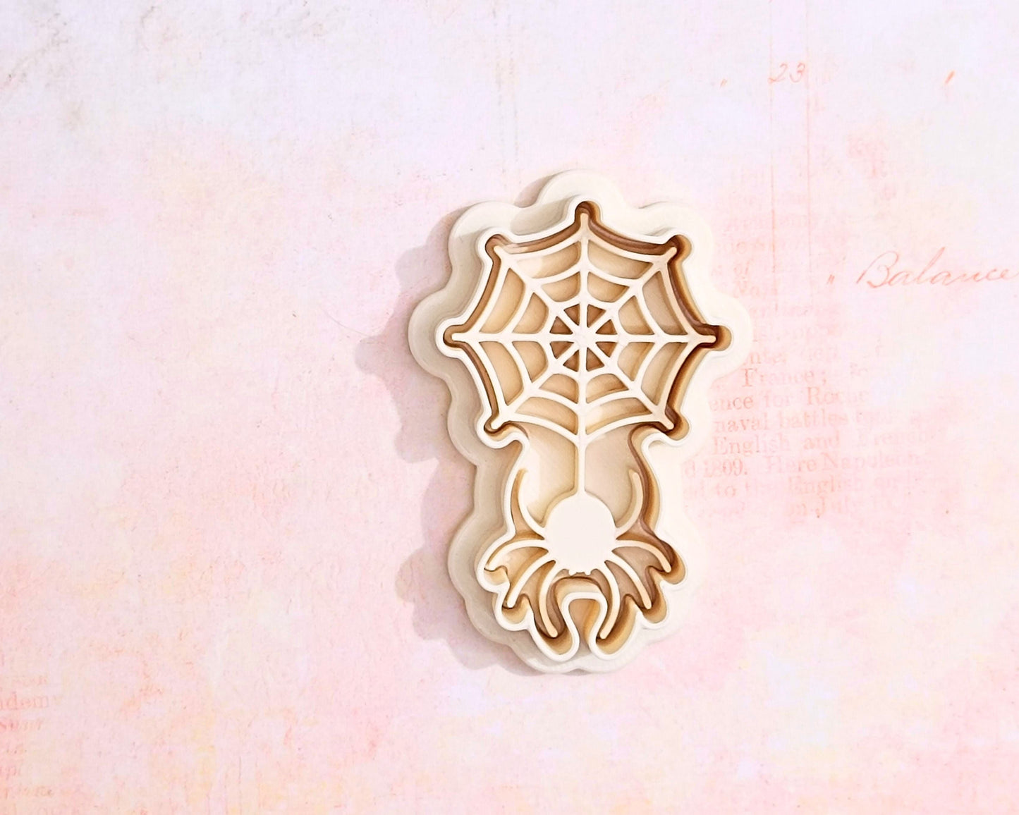 Spider on a web - cookie cutter set