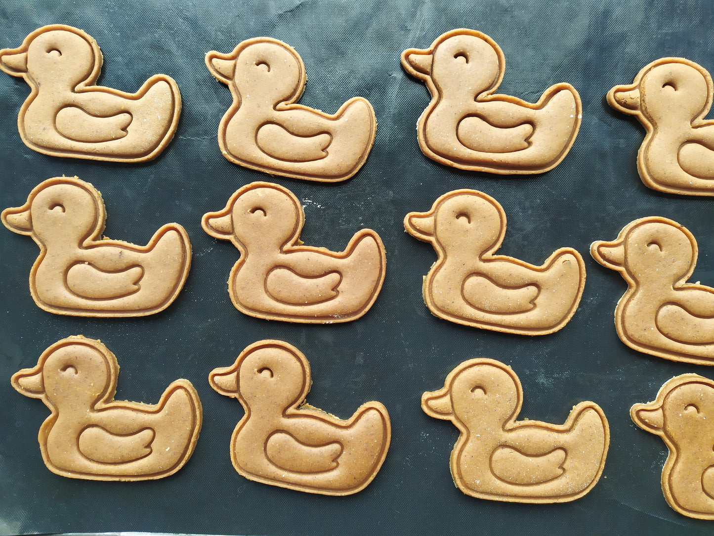 Rubber duck - cookie cutter set