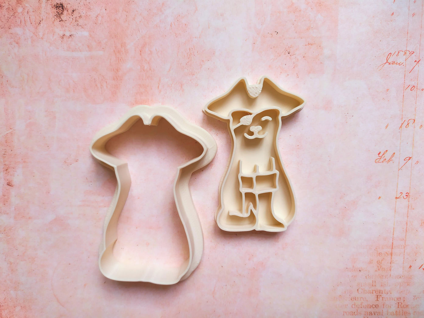 Cat in costume, pirate  - cookie cutter set